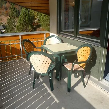 Haus Herzogenhorn - Hornberg Apartment Todtmoos